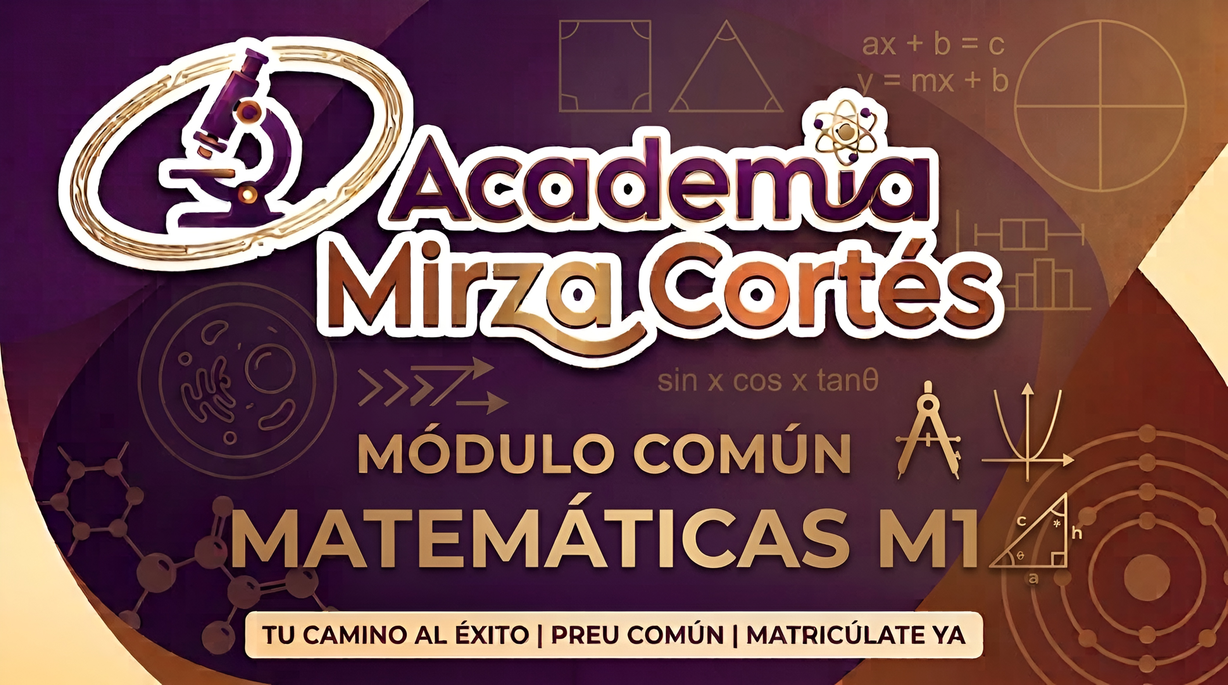 Matemática Intensivo M1