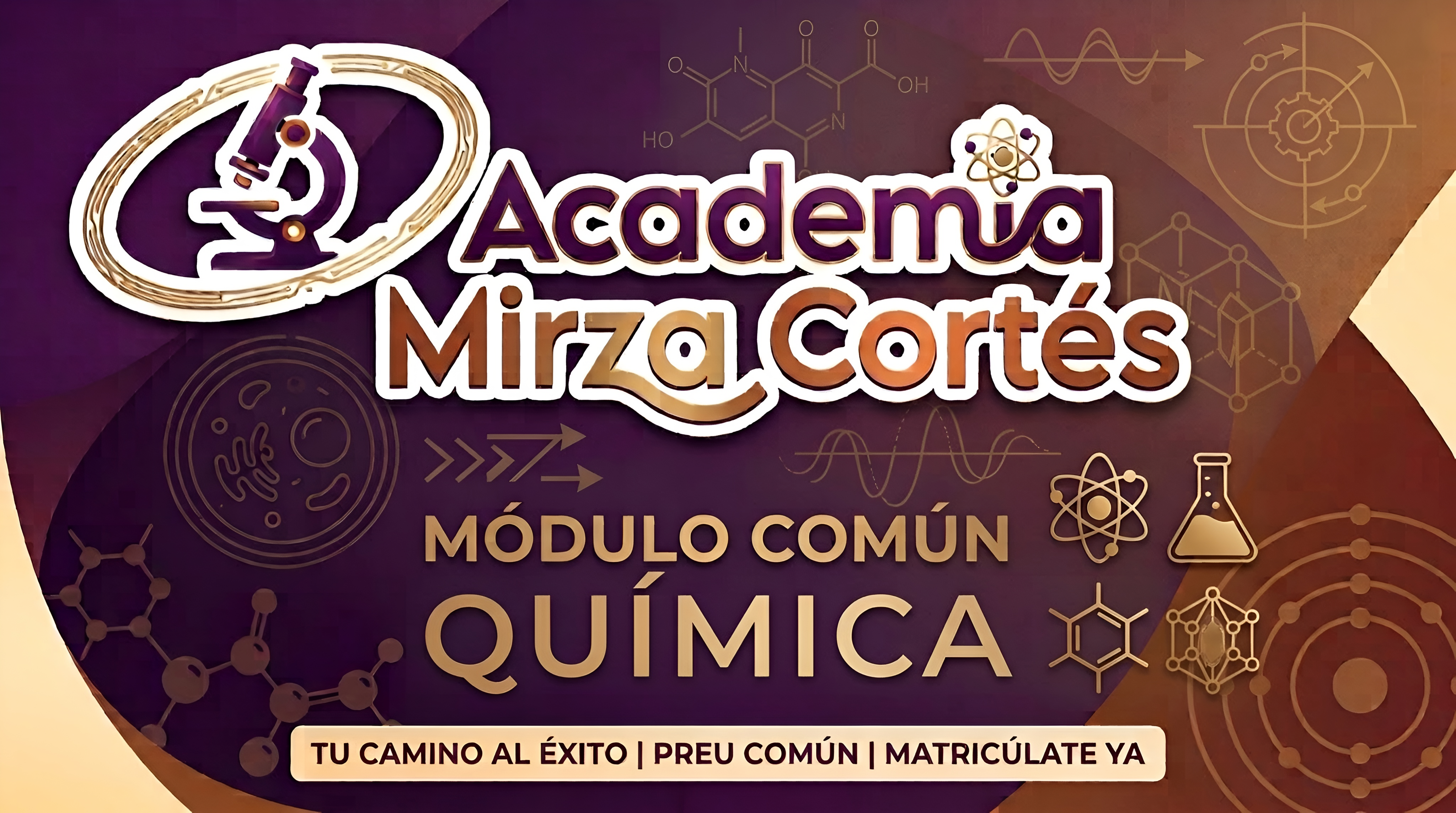 Química Módulo Común